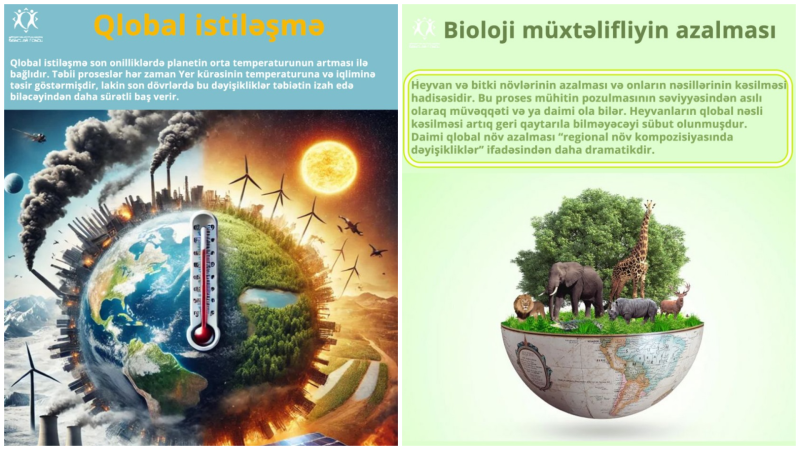Gənclər Fondunun maliyyə dəstəyi ilə ekoloji layihə həyata keçirilib