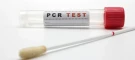 PCR testi və ya eşşəyin də DNT-si olur?
