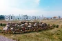 Cəbrayılın  Şükürbəyli kəndinə növbəti köç yola salınıb